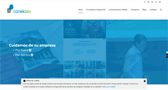 Desktop Screenshot of coneklab.com